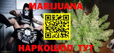 индика Краснознаменск